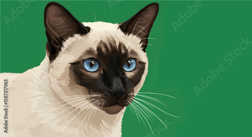 Realistic Siamese Cat Portrait Vector with Blue Eyes Isolated on Green Screen