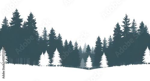 forest, landscape, trees, background, nature, scenery, woods, green leaves, sunlight, foliage, natural view, serene, peaceful, outdoor, wilderness, forest path, dense trees, moss, branches, canopy, sh