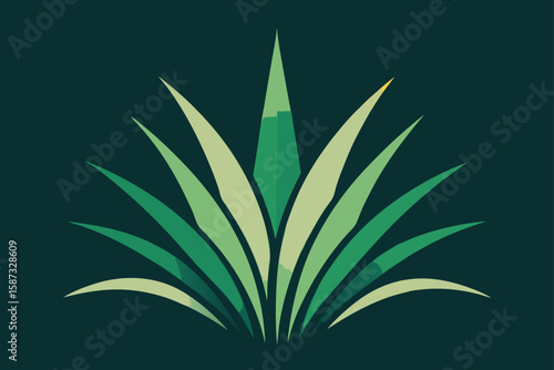 cannabis leaf vector illustration