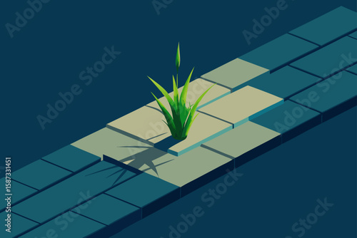 solar panels on the roof of the house