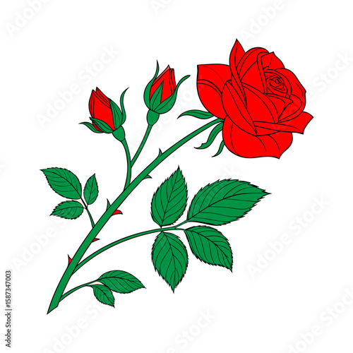 elegant Red Rose Vector Illustration – Isolated Bloom on White Background