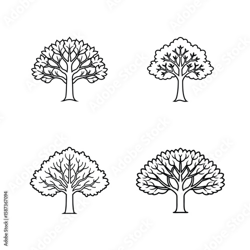 Bundle of beech tree branches, leaves, and wood pieces, natural beech tree collection, forest elements, green foliage, timber, seasonal wood, nature background, outdoor plants, organic wood texture, c