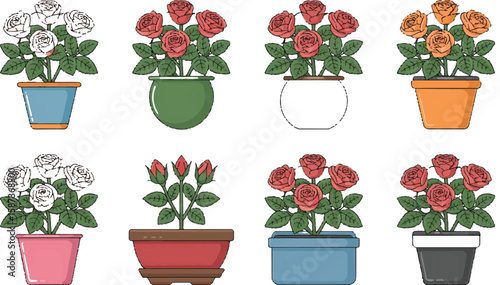 Vibrant Rose Plants in Various Pots