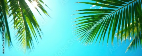 Crisp palm leaves silhouette, azure sky backdrop , green, exotic