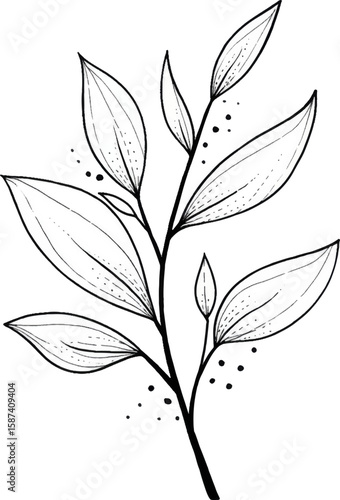 black and white floral