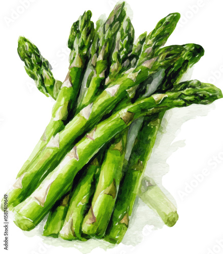 asparagus on white background