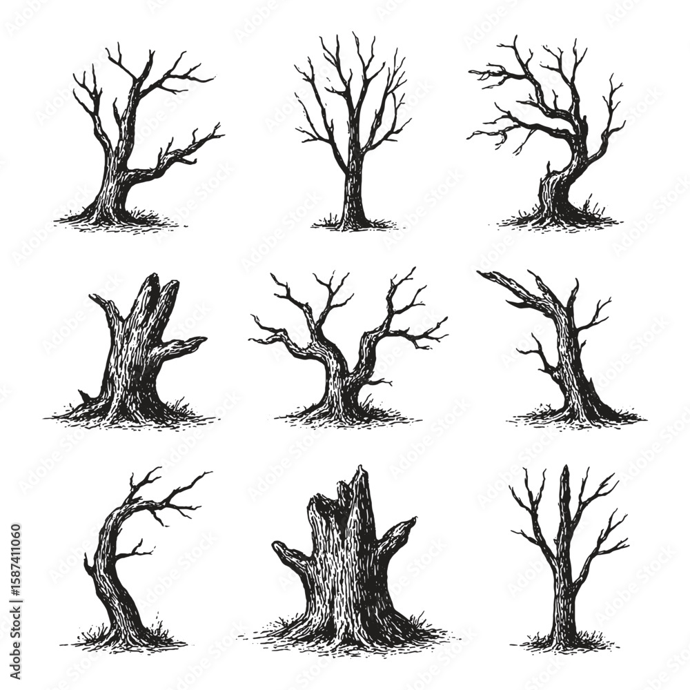 A set of dry, dead trees in vintage ink drawing style with twisted forms.