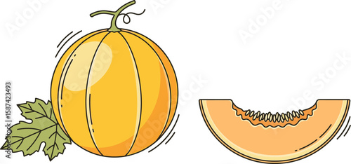 A vibrant illustration depicts a whole melon and a single slice, showcasing the fruit's details.