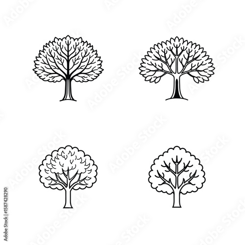 Bundle of elm tree branches and leaves, fresh green elm foliage collection, natural elm tree bundle for decoration, forest tree bundle, healthy elm leaves, nature greenery, outdoor elm wood elements