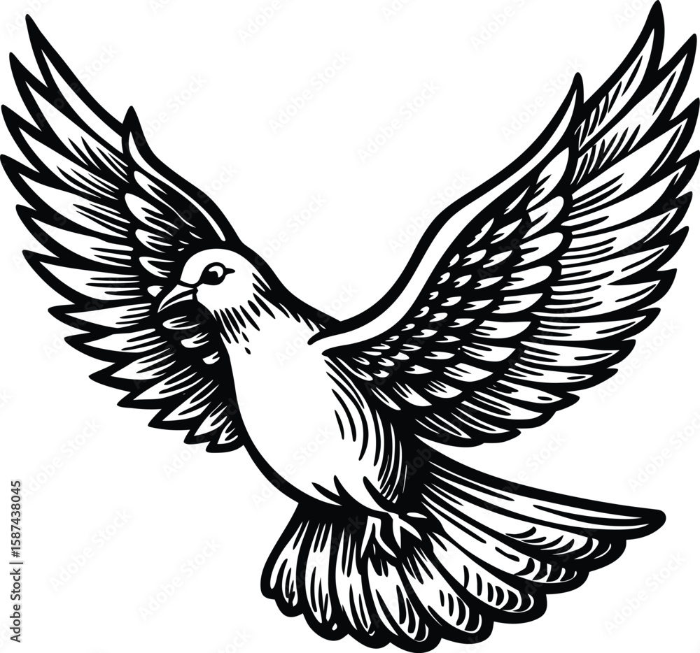 Obraz premium Stylized dove in flight with outstretched wings bird flying