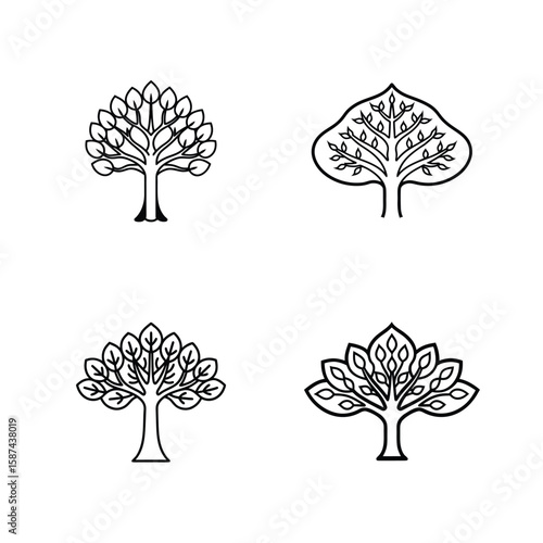 High quality bundle of fig tree images, fresh figs, fig leaves, natural fig tree photos perfect for stock, agriculture, garden, tropical fruits, healthy food, organic figs, seasonal harvest pictures