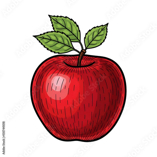 Red apple with leaves illustration drawing