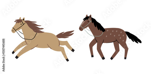 Cowboy accessories set. Western boots, shoes, hat, plants, animals, sheriff star. American country fashion. Flat style vector illustration