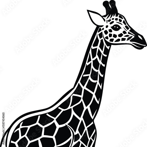Black and white illustration of a giraffe head and neck with distinctive patterned markings animal wildlife