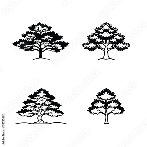 High-quality bundle of juniper tree isolated on white background. Perfect botanical nature stock image for eco projects, natural medicine, landscaping, or forest design themes.