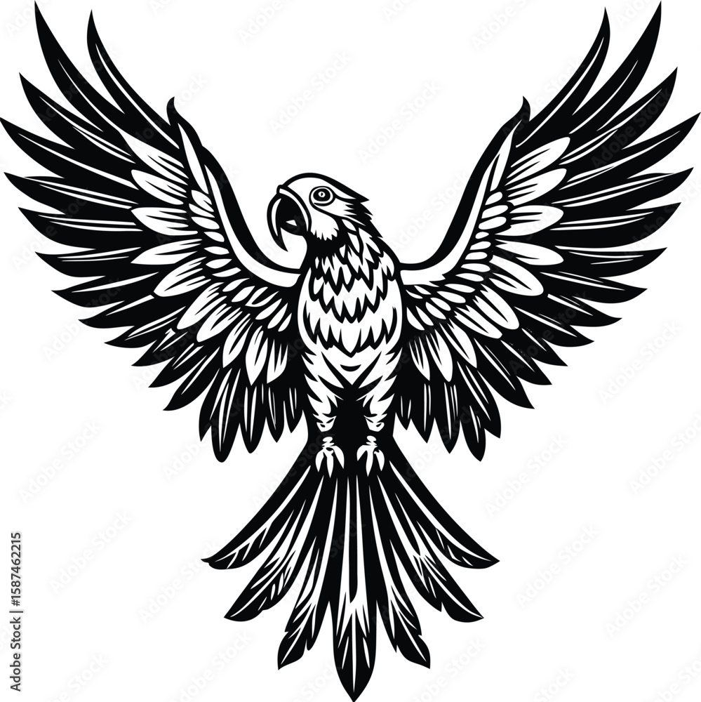 Obraz premium Majestic parrot with spread wings in black and white bird flying
