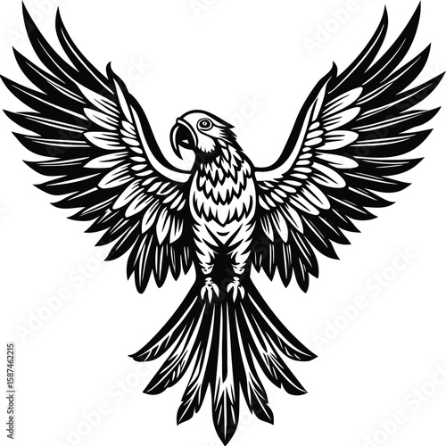 Majestic parrot with spread wings in black and white bird flying