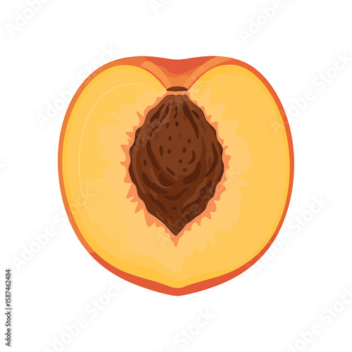 A halved peach with its seed exposed, isolated on white background, showcases the fruits fresh and juicy interior