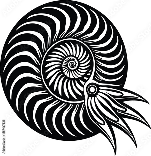 Stylized nautilus shell with swirling patterns and tentacles spiral marine