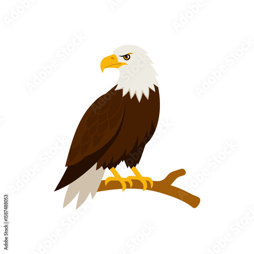 bald eagle perched on branch hand paint and vector