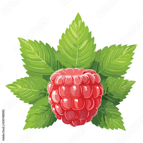 Healthy Salmonberries, Coastal Treat