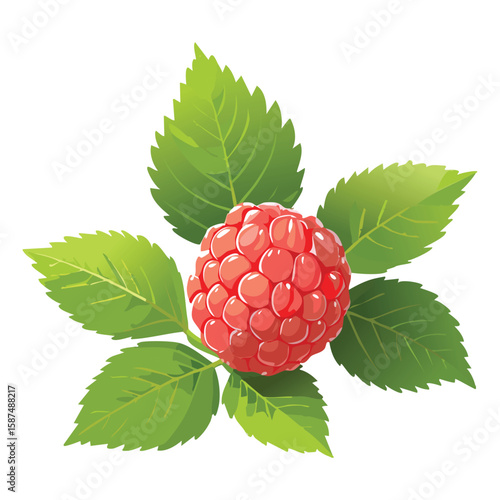 Ripe Salmonberries, Mild & Delicious