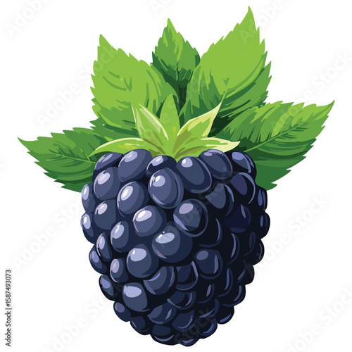 Fresh Blackberries, Wild Berry Flavor