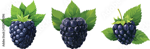 Dark Blackberries, Rich & Tangy