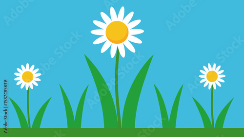 camomile on a blue background