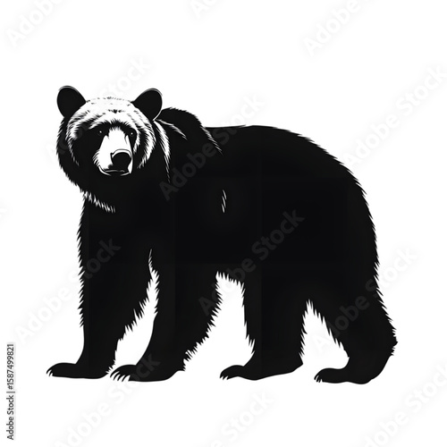 Brown Bear black silhouette isolated on a transparent background