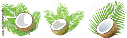 Organic Coconut, Versatile & Nutritious