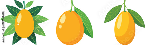 Tiny Kumquats, Zesty & Edible Peel