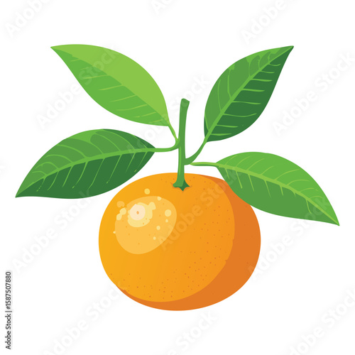 Fresh Mandarins, Juicy & Refreshing