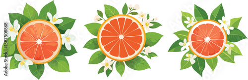Pink Grapefruit, Juicy & Antioxidant Rich
