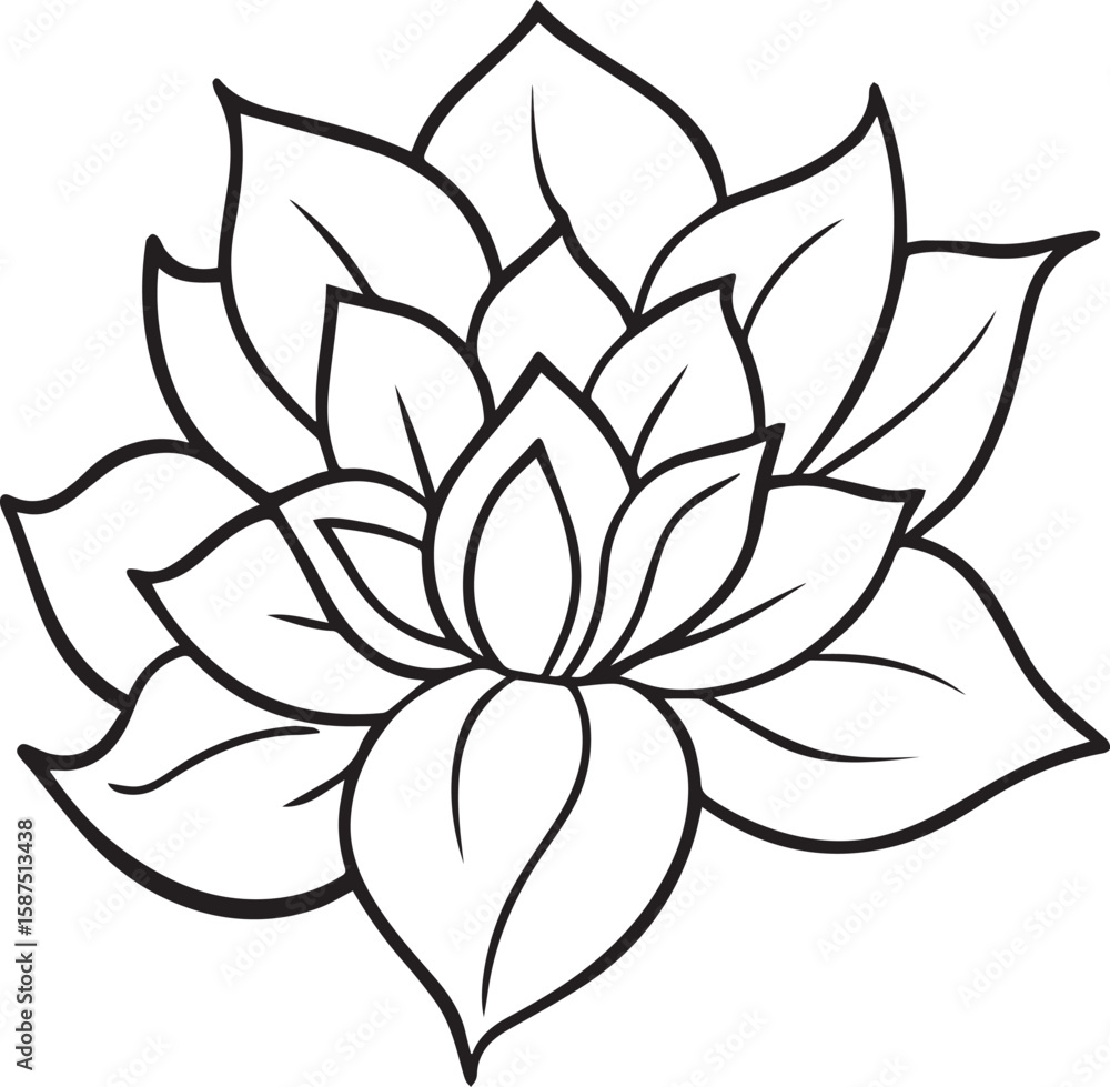 Obraz premium Botanical flower outline vector illustration, line art