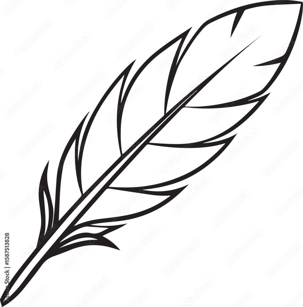 Fototapeta premium Feather outline vector illustration, line art