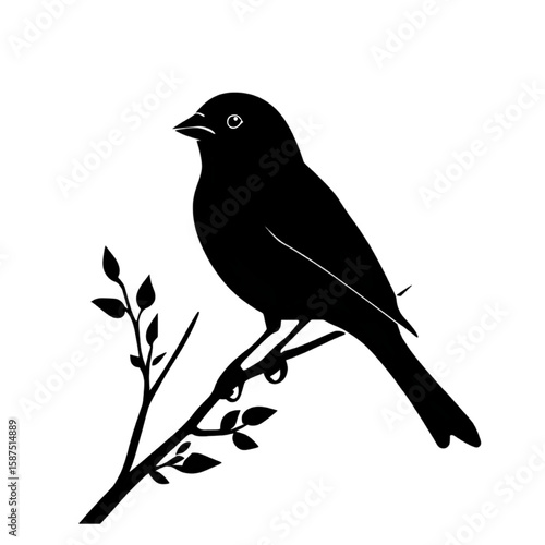 Goldfinch black silhouette isolated on a transparent background