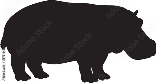 Striking black silhouette of a large, powerful hippopotamus, a magnificent African animal, standing isolated on a white background, perfect for wildlife and nature themes