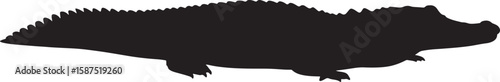 Black crocodile or alligator silhouette, an isolated reptile illustration perfect for wildlife themes, swamp designs, and zoology or animal related projects