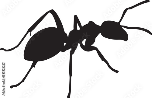 A detailed black ant silhouette, ideal for nature-themed designs, insect illustrations, and educational content focusing on animal behavior and ecosystems