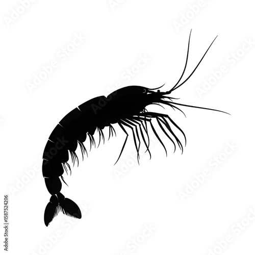 Krill black silhouette isolated on a transparent background