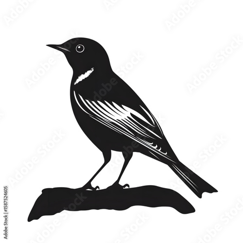 Lark black silhouette isolated on a transparent background