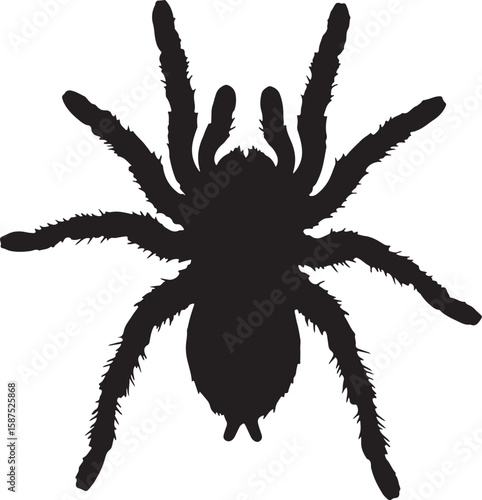 A striking black silhouette of a tarantula spider, perfect for representing fear, Halloween, and creepy themes in various design and illustrative projects
