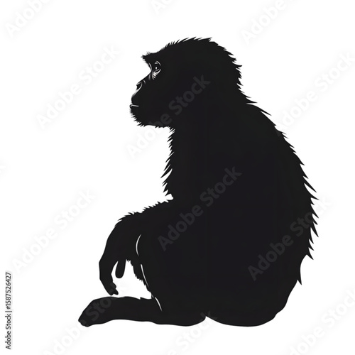 Macaque black silhouette isolated on a transparent background