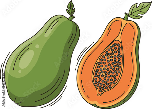 Illustration of a whole green papaya and a halved papaya revealing orange flesh and black seeds.