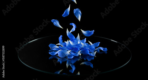 Abstract composition: blue petals falling over black mirror, dramatic lighting