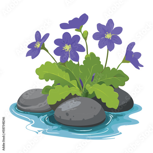 Purple Flowers on Wet Stones