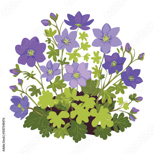 Spreading Purple Blooms in Nature