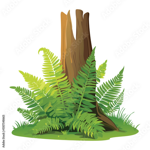 Broken Tree Stump with Ferns