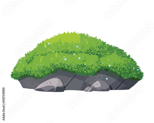 Mossy Rock Outcrop with Green Surface